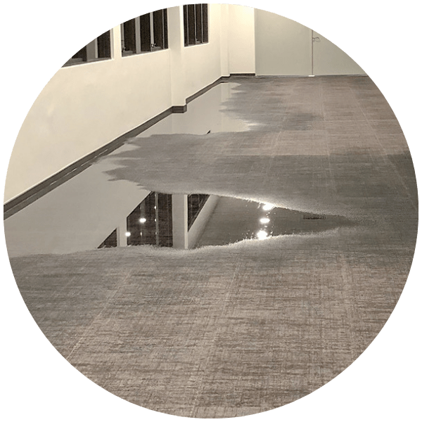 Residential & Commercial Flood Damage Solutions