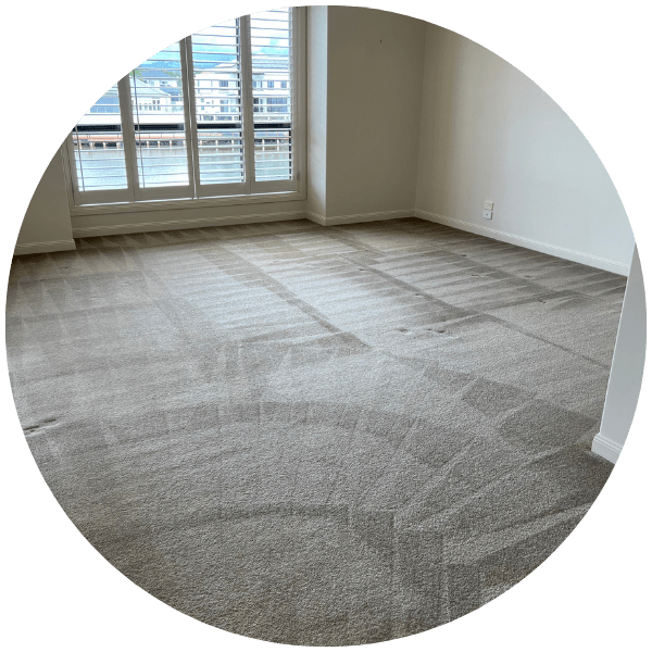 residental carpet cleaning gold coast